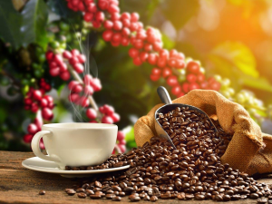 Coffee