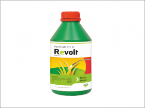 Revolt