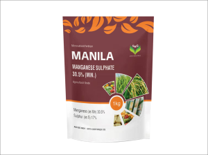 Manila