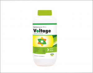 Voltage
