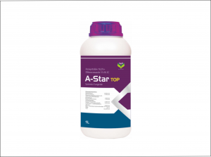 A-Star