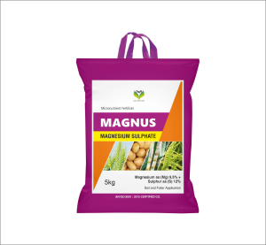 Magnus