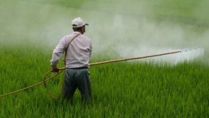 Weedicides / Herbicides